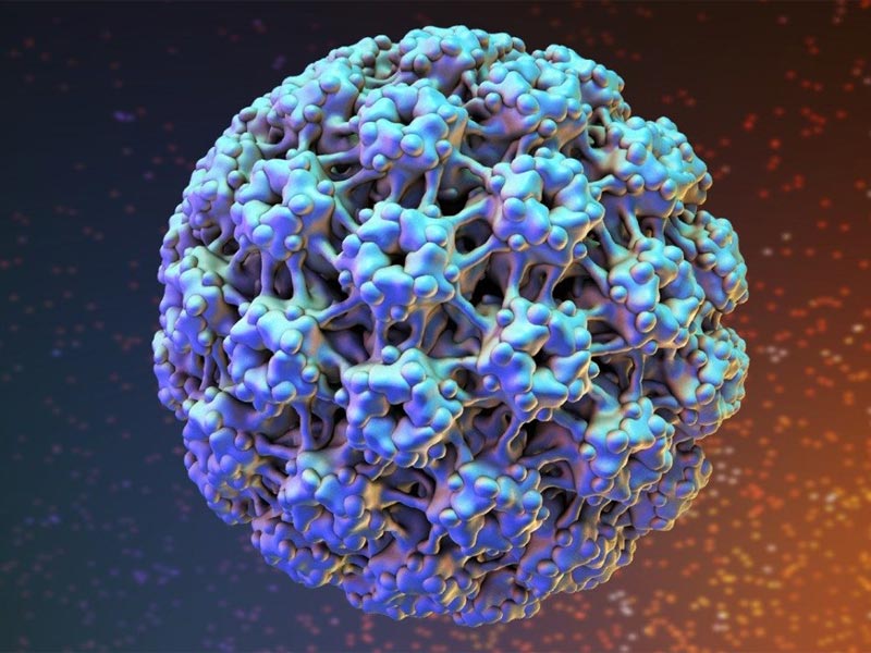 HPV Λοίμωξη - Απαντήσεις σε Ερωτήσεις