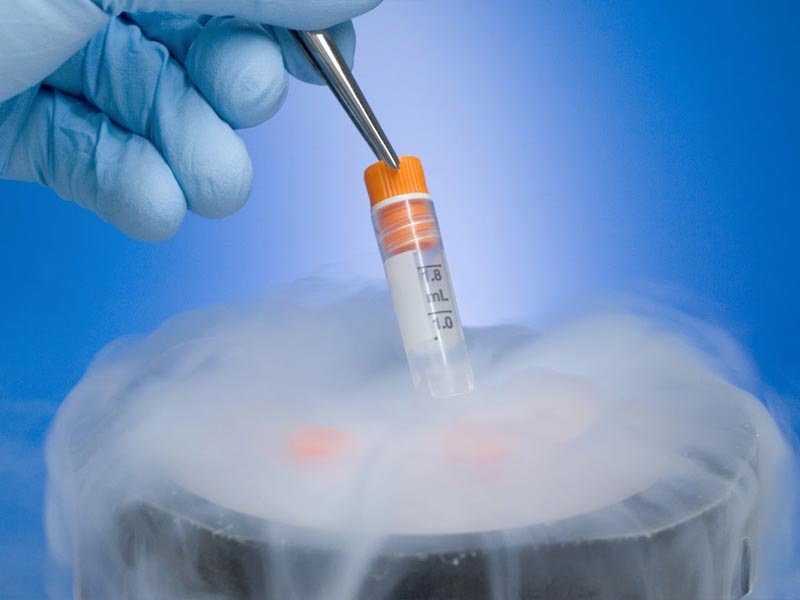Κρυοσυντήρηση - Κατάψυξη εμβρύων (Embryo Cryopreservation)